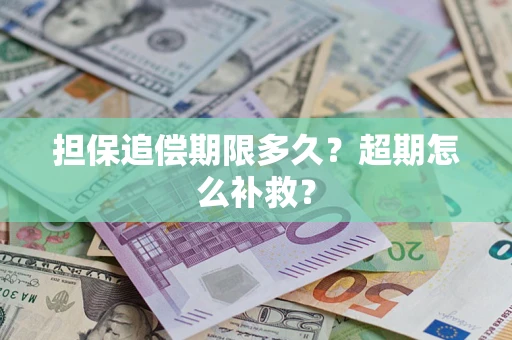 济南担保追偿期限多久？超期怎么补救？