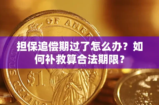 济南担保追偿期过了怎么办？如何补救算合法期限？