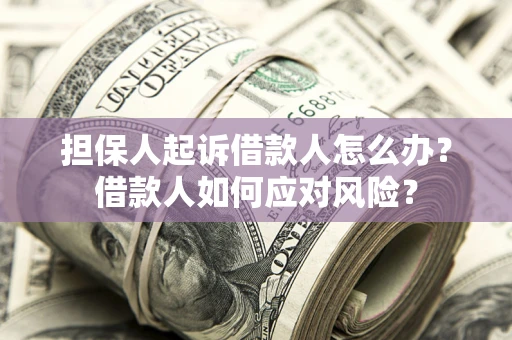 济南担保人起诉借款人怎么办？借款人如何应对风险？