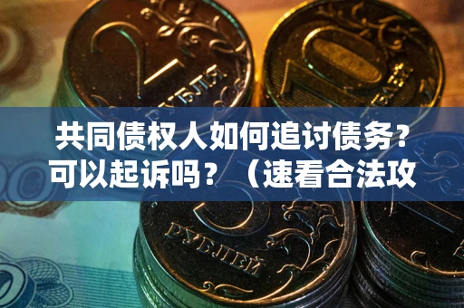 济南共同债权人如何追讨债务？可以起诉吗？（速看合法攻略）